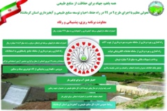 اینفوگرافیک