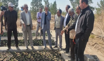  بازدید معاون وزیر جهاد کشاورزی از طرح های در دست اجرای منابع طبیعی خراسان جنوبی 