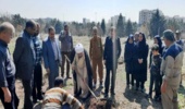 کاشت نهال در مجتمع آموزشی جوانشیر توسط همکاران مرکز