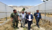  رییس سازمان منابع طبیعی کشور از طرح های منابع طبیعی فارس بازدید کرد