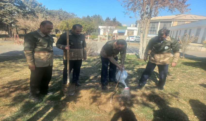 کاشت نهال میوه توسط دکتر افلاطونی معاون محترم وزیر و ریاست سازمان در مرکز آموزش دکتر جوانشیر