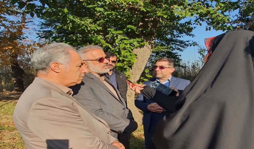 رئیس سازمان منابع طبیعی کشور از نهالستان بزرگ کرج بازدید کرد