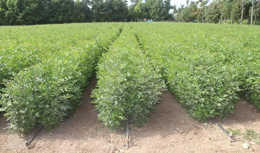 برگزاری سی‌ودومین جلسه شورای هماهنگی مجتمع در روز یکشنبه مورخ 1401/9/27