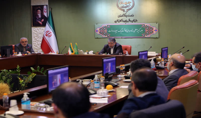  کمیته علمی ستاد مردمی کاشت یک میلیارد درخت تشکیل شد/ درختکاری مهمترین راهکار برای ترسیب کربن است