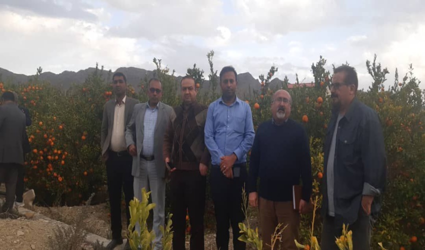  بازدید رئیس مرکز آموزشی جوانشیر همراه معاون مدیرکل و کارشناسان دفتر آموزش ترویج و مشارکتهای مردمی سازمان از شهرستان حاجی آباد