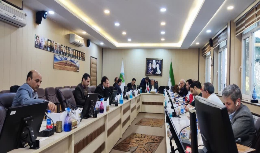  عزم ملی منابع طبیعی برای کاشت یک میلیارد درخت در کشور 