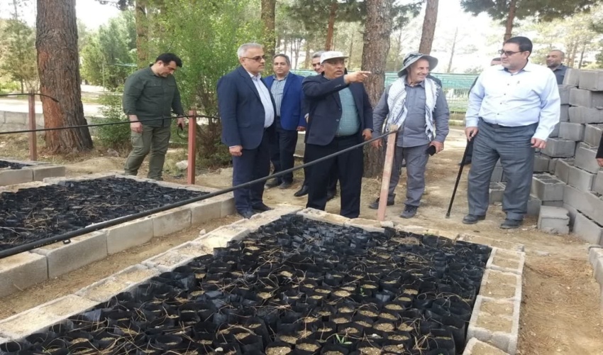 رئیس سازمان منابع طبیعی: زیرساخت کاشت یک میلیارد درخت در کشور مهیا شده است