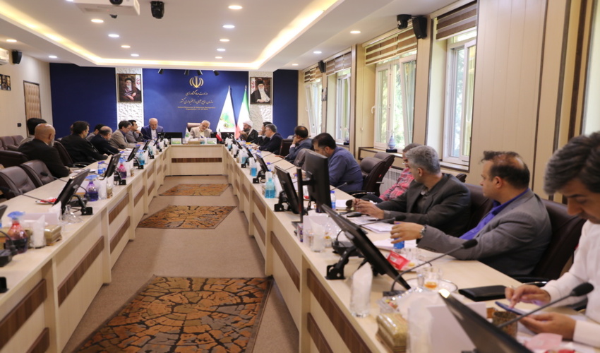 حفاظت از جنگل ها؛ مهمترین اولویت سازمان منابع طبیعی