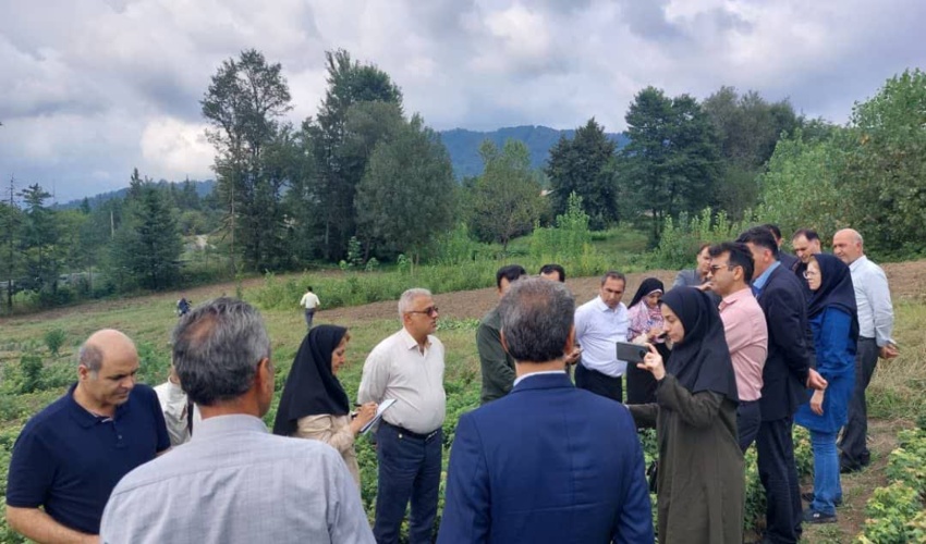  زمین‌های منابع طبیعی قابل واگذاری نیست/ تولید سالانه ۳.۶ میلیارد متر مکعب آب در جنگل‌های هیرکانی