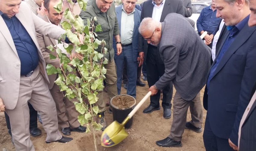 آغاز پروژه دو هزار هکتاری زراعت چوب در استان اردبیل