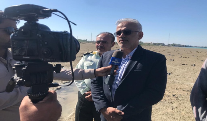  آغاز پویش مروارید با حضور فرمانده نیروی دریایی راهبردی ارتش و ریاست سازمان منابع طبیعی در بندر جاسک/ گزارش تصویری