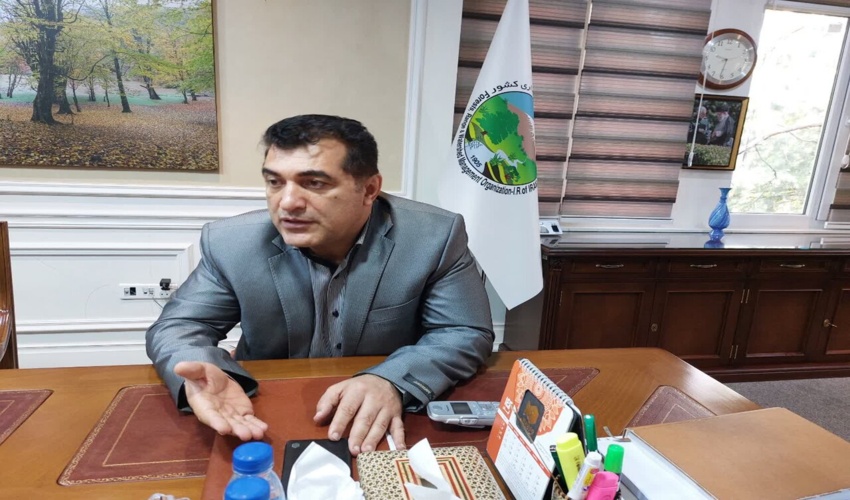  ضرورت راه‌اندازی بازار کربن در کشور/ کاشت تنها ۱۵۳ میلیون درخت در برنامه ششم توسعه