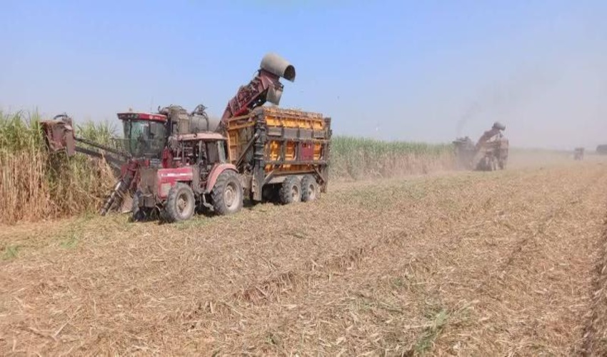  آمادگی شرکت کشت و صنعت کارون برای تولید ۳ تا ۵ میلیون نهال منابع طبیعی/ برای جذب کربن به برنامه سازمان ملل متحد می‌پیوندیم