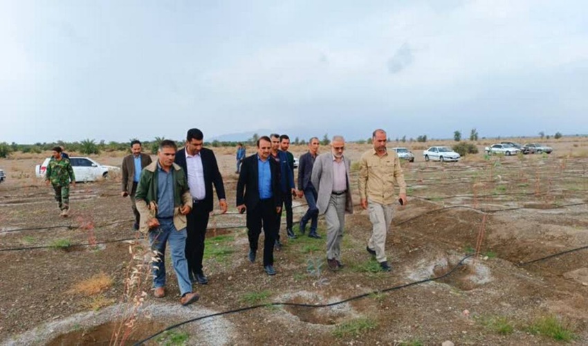  تاکید رئیس سازمان منابع طبیعی و آبخیزداری کشور بر توانمندسازی جوامع محلی 