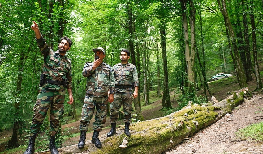  خدا قوت به جنگلبان 