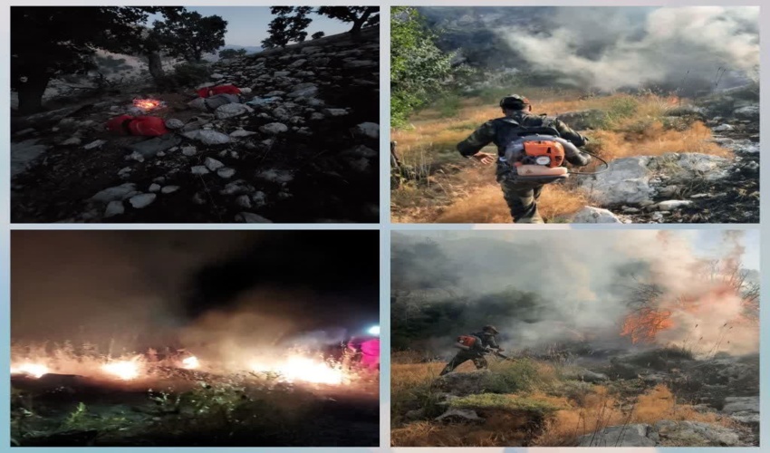  مهار آتش سوزی های مناطق دیشموک کهگیلویه و باشت