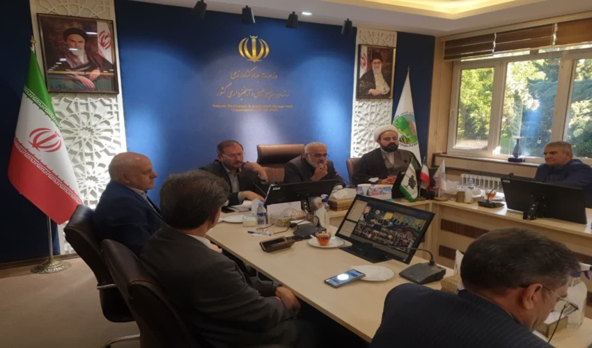  طرح مردمی کاشت یک میلیارد درخت، تمامی اقدامات منابع طبیعی نیست!