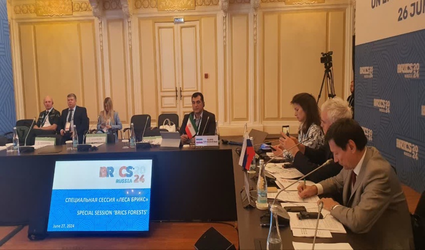  در نشست اتحادیه همکاری های بریکس چه گذشت؟!