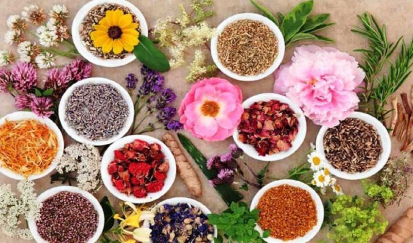 صادرات بیش از 500 هزار کیلو محصولات غیر چوبی و گیاهان دارویی مرتعی در نیمه نخست سال جاری